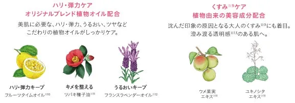 植物由来の美容成分イメージ。ツバキ種子油やユキノシタエキスなど